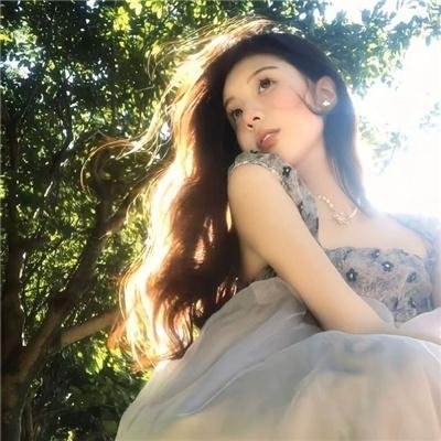 蜘蛛网